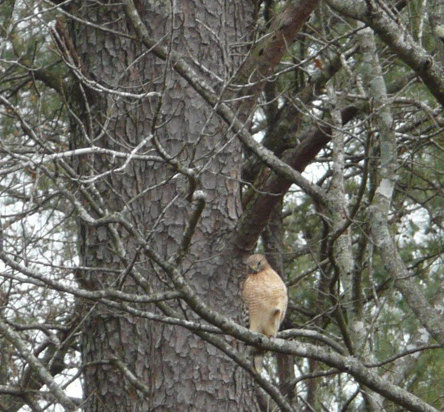 Big Creek Greenway-卡明必去景点