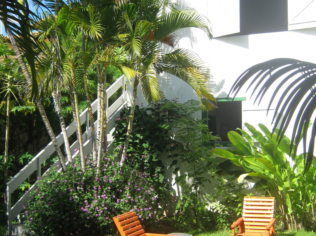 As Casinhas da Ada主图