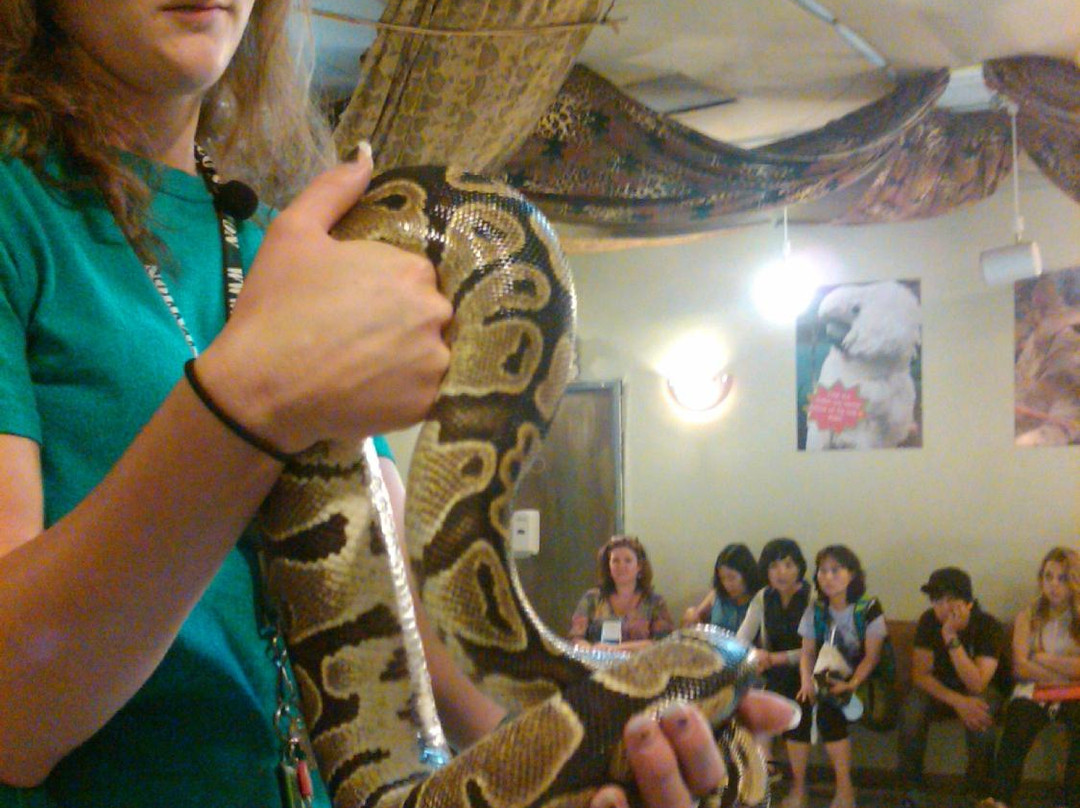 Star Eco Station-卡尔弗城必去景点