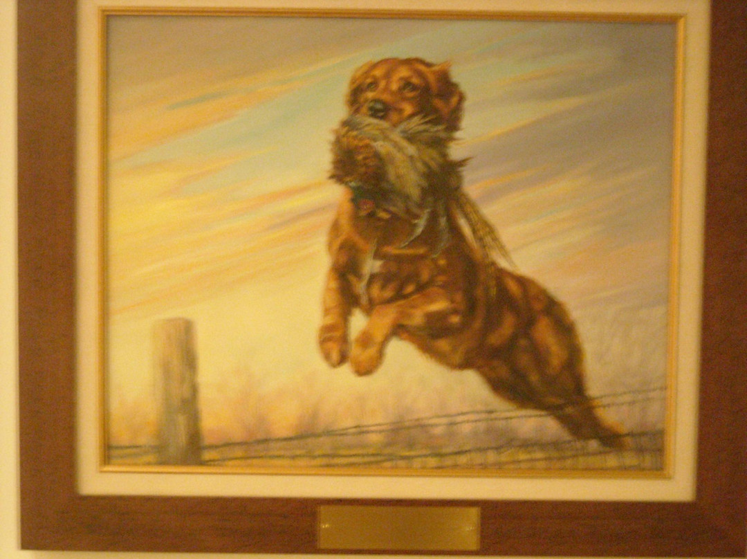 National Bird Dog Museum景点图片