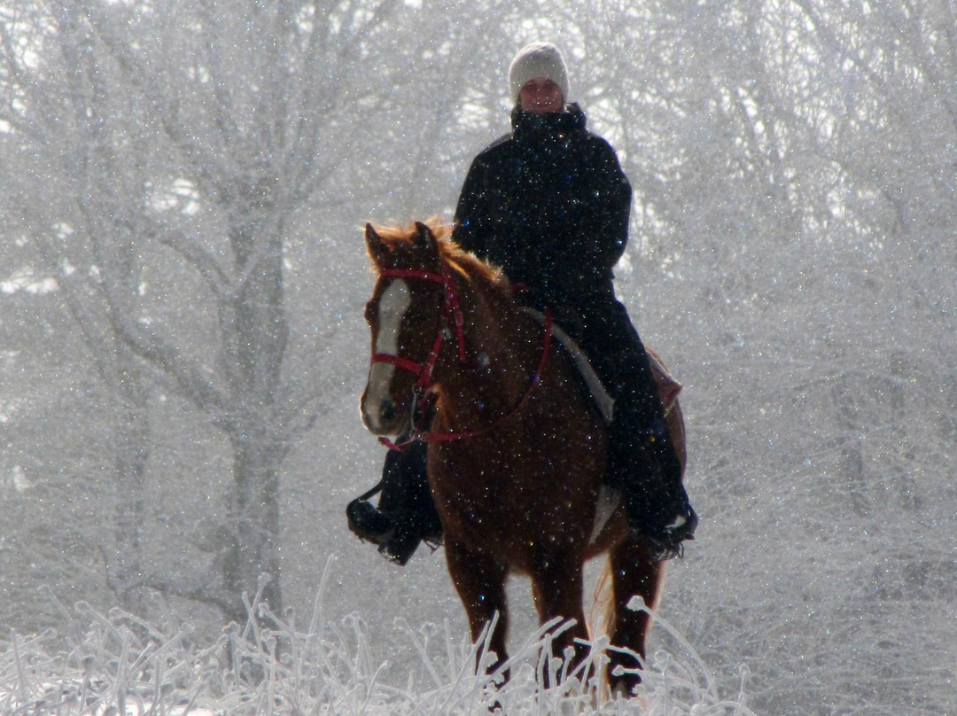 Cheat Mountain Stables-雪鞋山必去景点