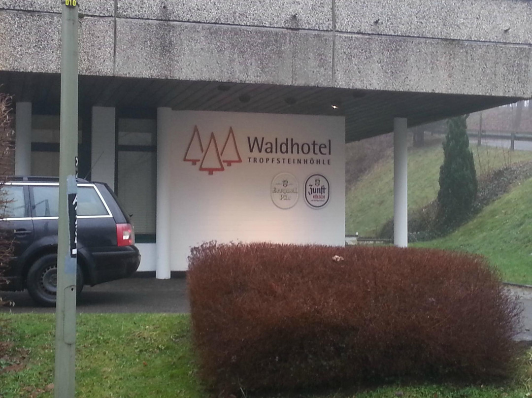 Waldhotel Tropfsteinhöhle主图