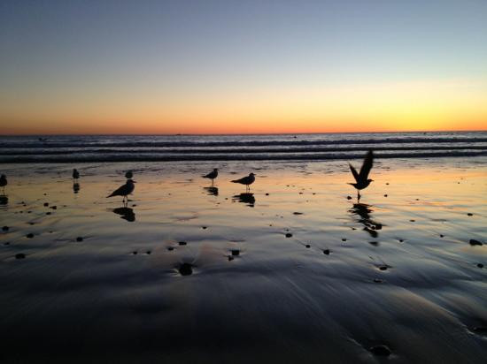 威尼斯海滩漫步区-洛杉矶必去景点