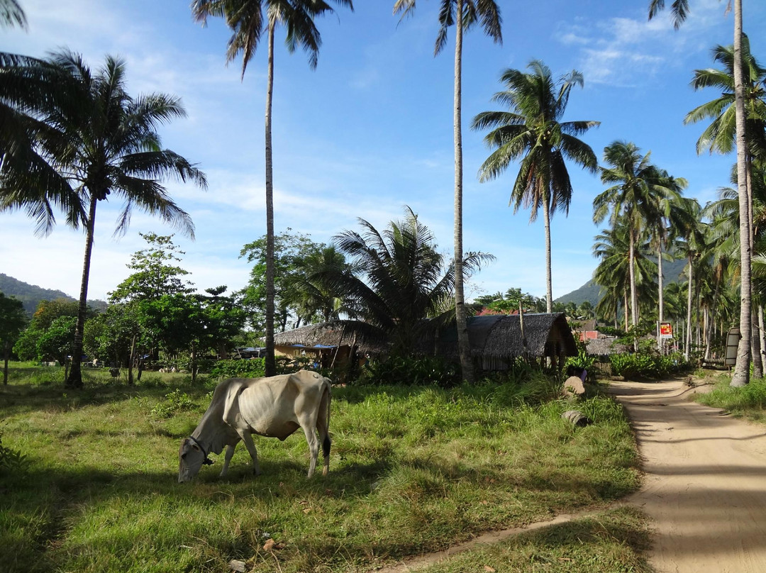 Sabang Beach景点图片