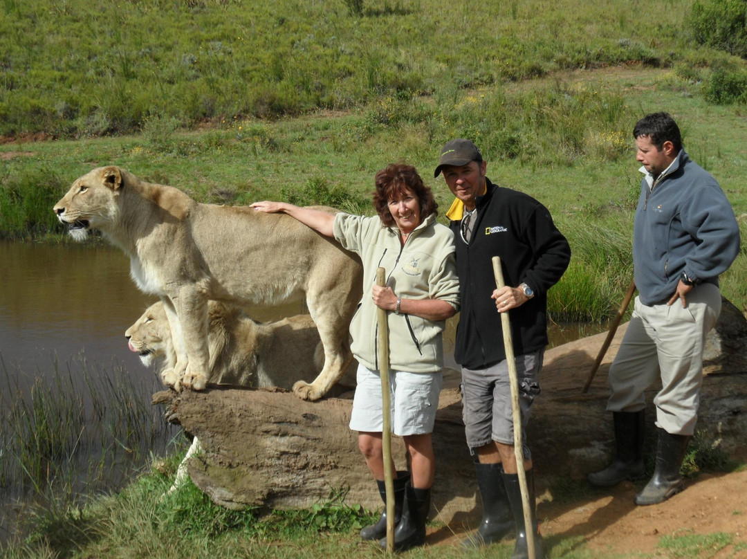 Botlierskop Private Game Reserve-莫塞尔贝必去景点