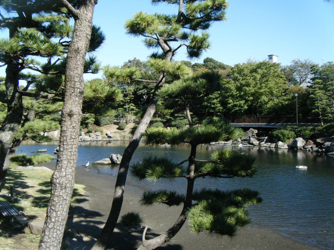 品川市民公园-品川区必去景点