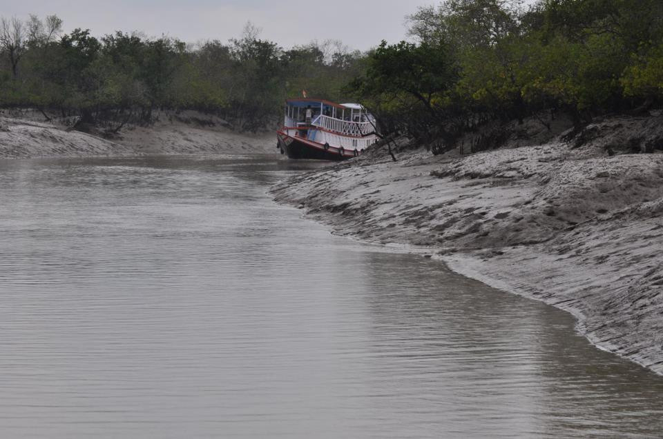 Sundarban Day Tour景点图片