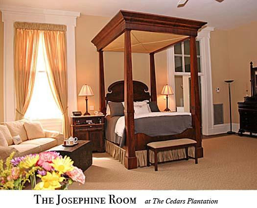 The Cedars Plantation主图