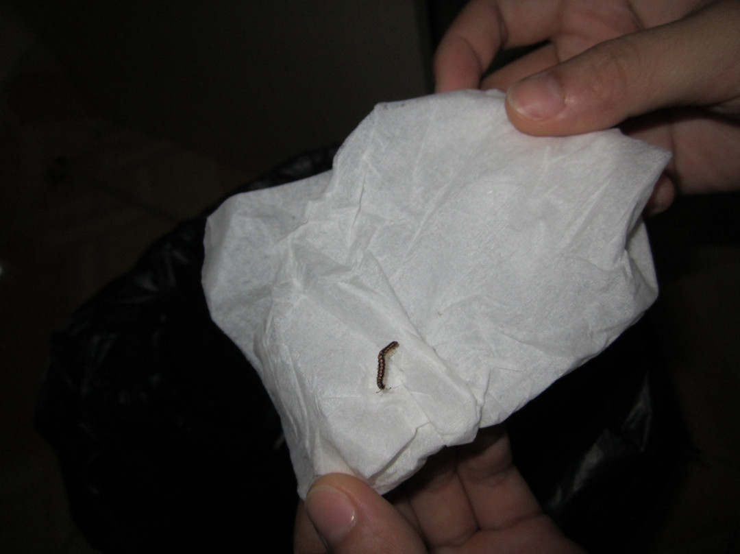 汕头君乐商务宾馆天龙大厦店主图