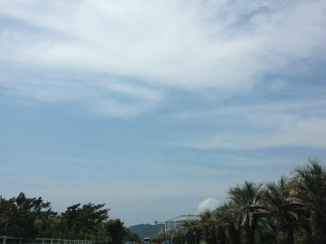 Boso Flower Line-馆山市必去景点