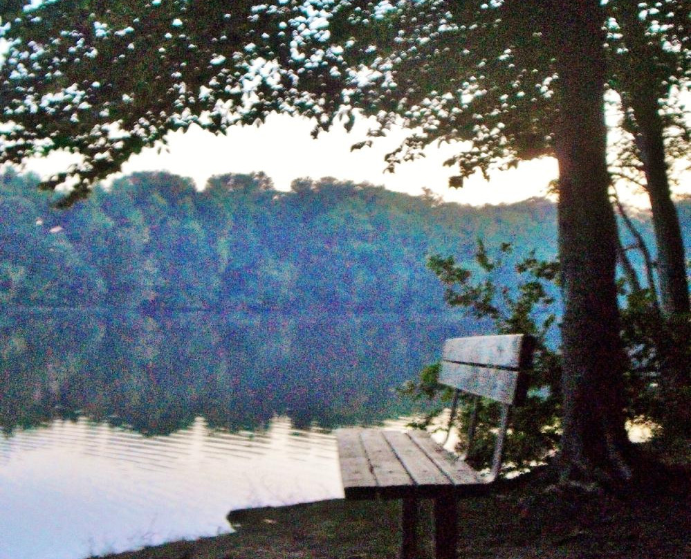 Burke Lake Park景点图片