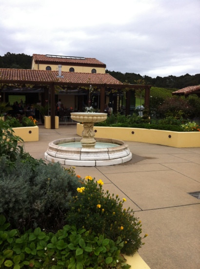 Ascension Wine Estate-马塔卡纳小镇必去景点