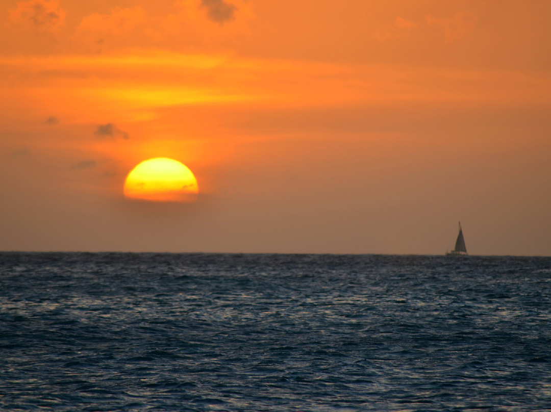Manchebo Beach-棕榈/鹰海滩必去景点