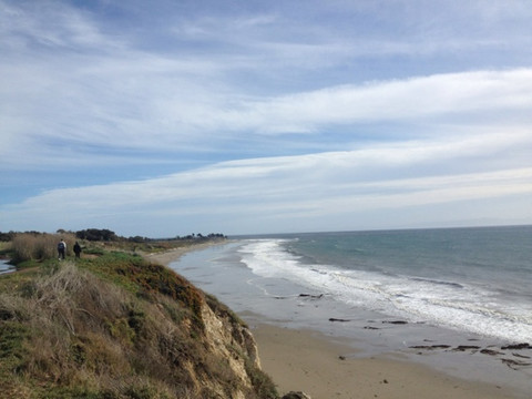 Coronado Butterfly Preserve-戈利塔必去景点