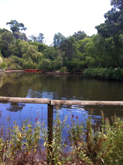 Countrylife Farm-戴士柏必去景点