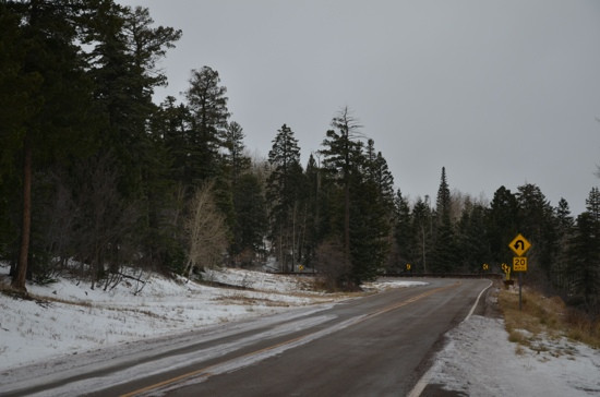 Cibola National Forest景点图片