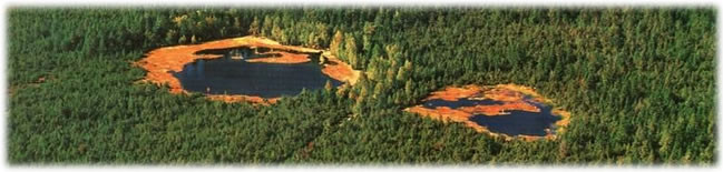 Gasthof Gruener Baum主图