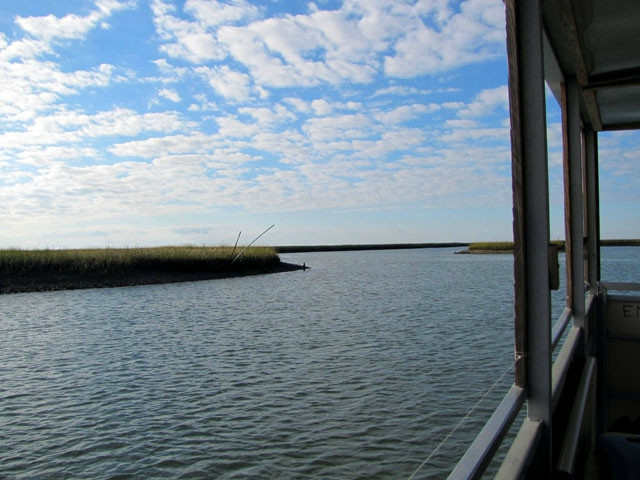 Bulls Island Ferry-Awendaw必去景点