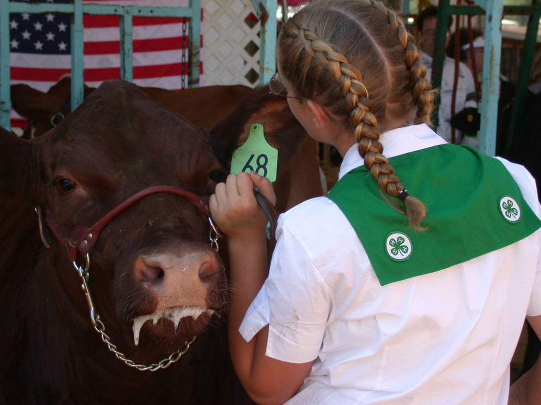 El Dorado Fairgrounds-普莱瑟维尔必去景点