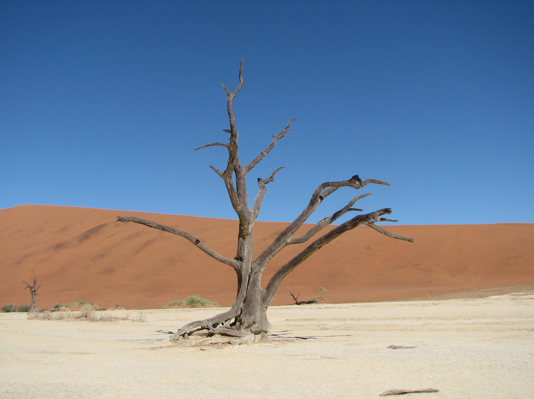 Sossusvlei-Namib-Naukluft Park必去景点