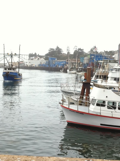 Newport's Historic Bayfront-纽波特必去景点