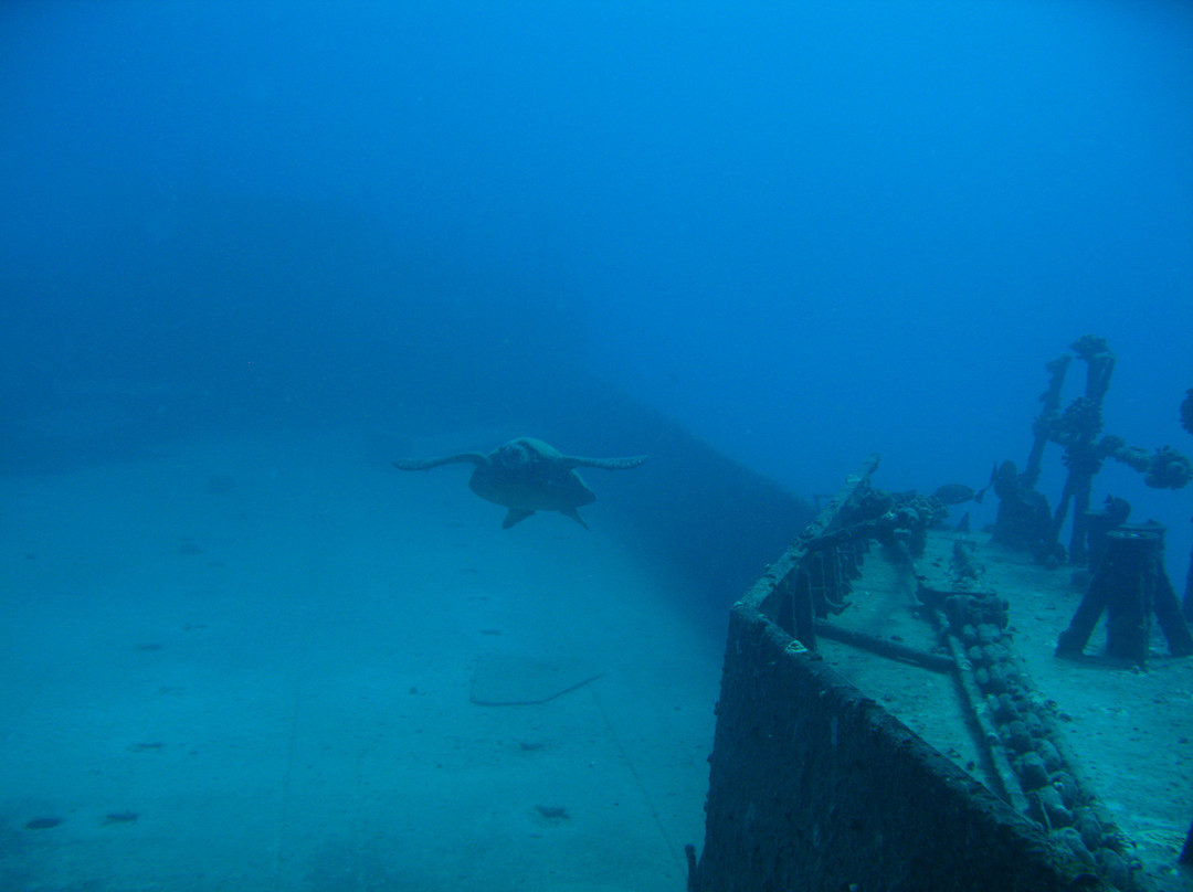 Hawaii Nautical - Maui-玛阿拉也亚必去景点