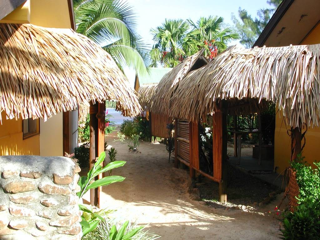 Fare Maorina-官方