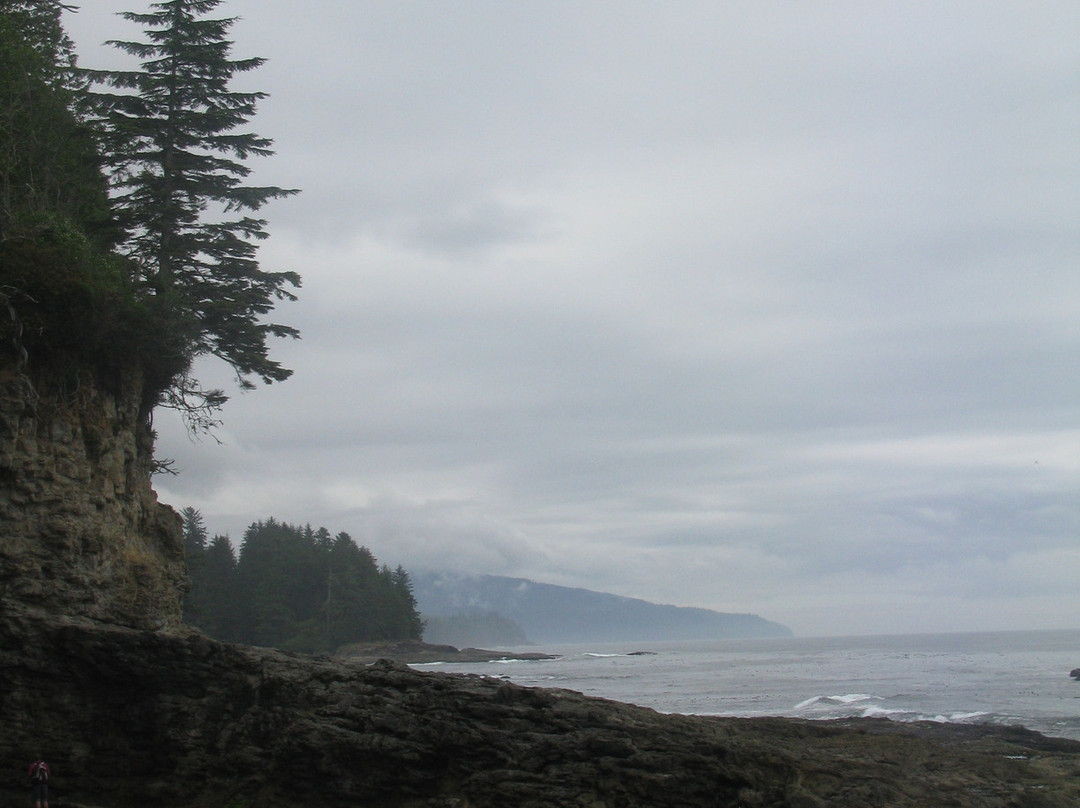 Botanical Beach Provincial Park景点图片