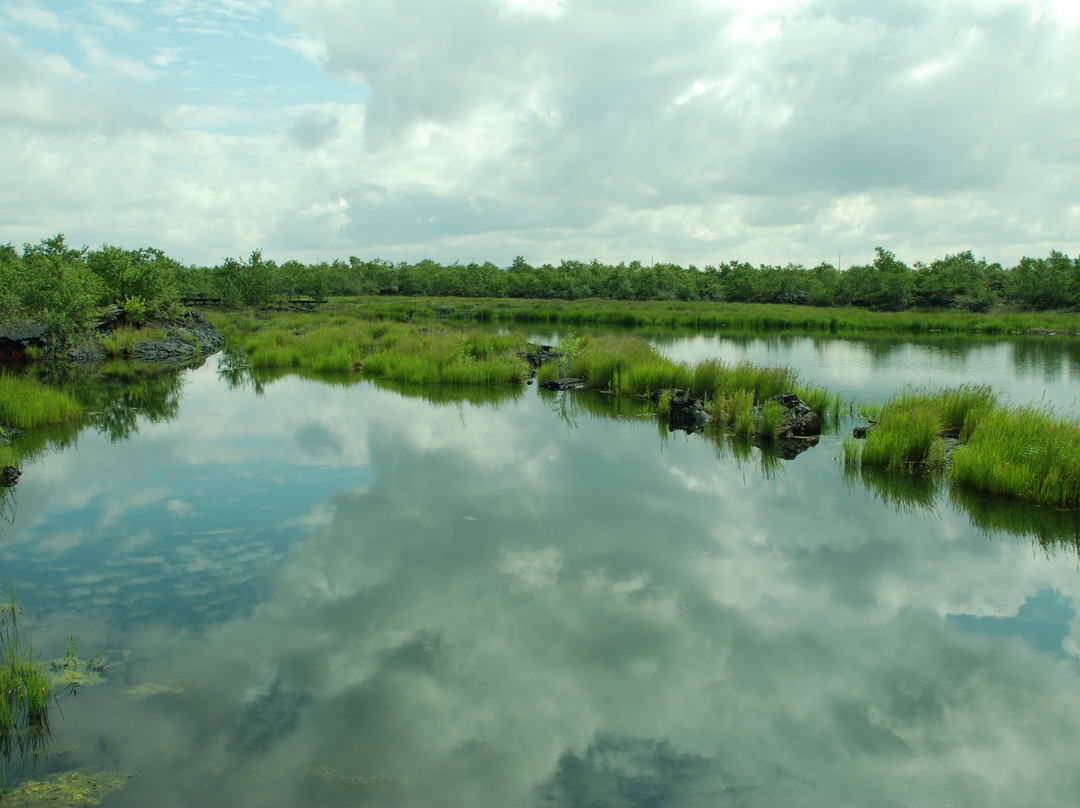 五大连池-五大连池市必去景点