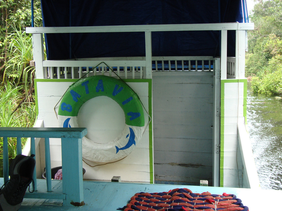 Tanjung Puting National Park-Central Kalimantan必去景点