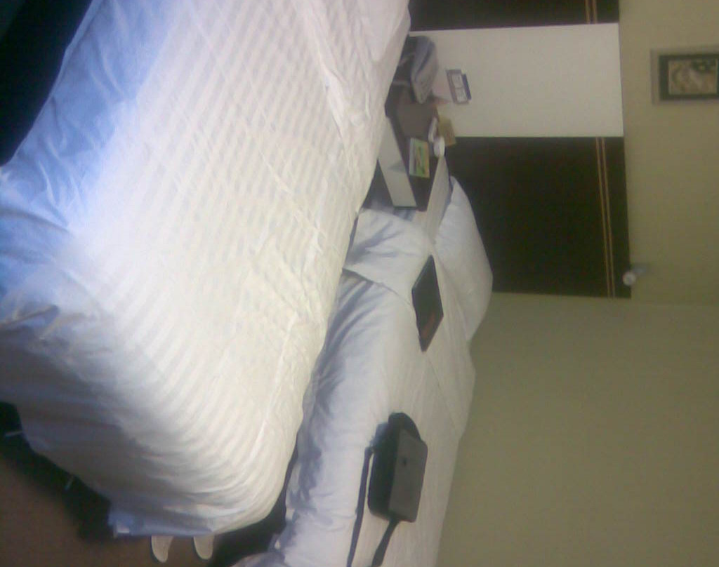 假日商务宾馆主图