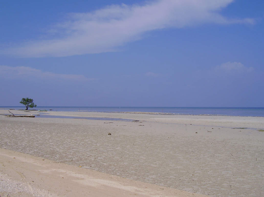 Tulapos Marine Sanctuary景点图片