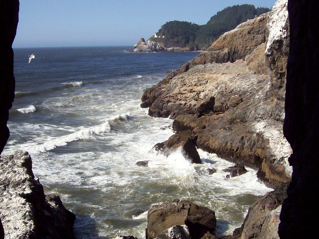 Sea Lion Caves-弗洛伦斯必去景点