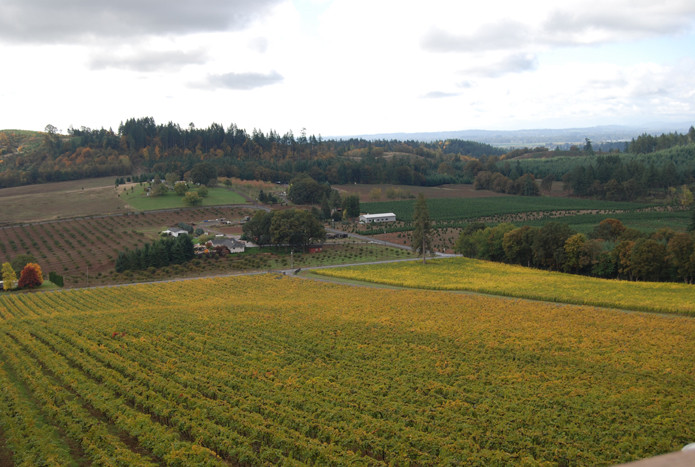 Willamette Valley Vineyards-Turner必去景点