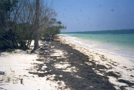 Club Paraiso Maya主图