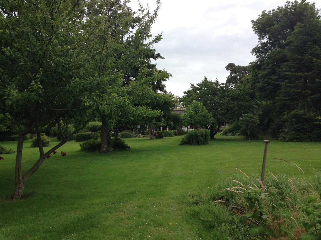 Moselundgaard Bed & Breakfast