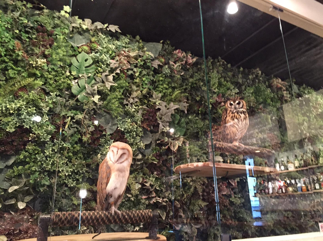 フクロウカフェクルー