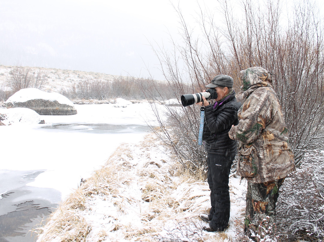 National Bighorn Sheep Center景点图片