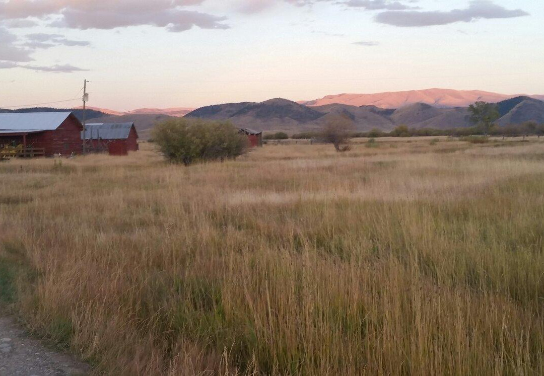 Montana Guest Cabins