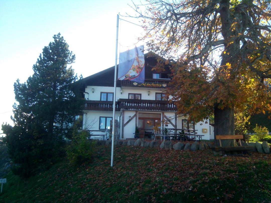 Bernbeuren旅游攻略图片