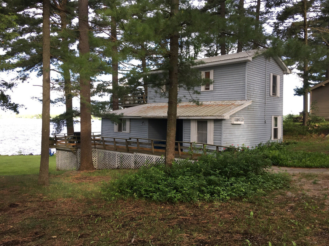 Delmonte in the Pines
