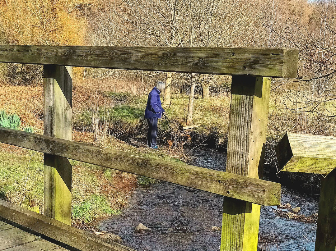 Wooler Common