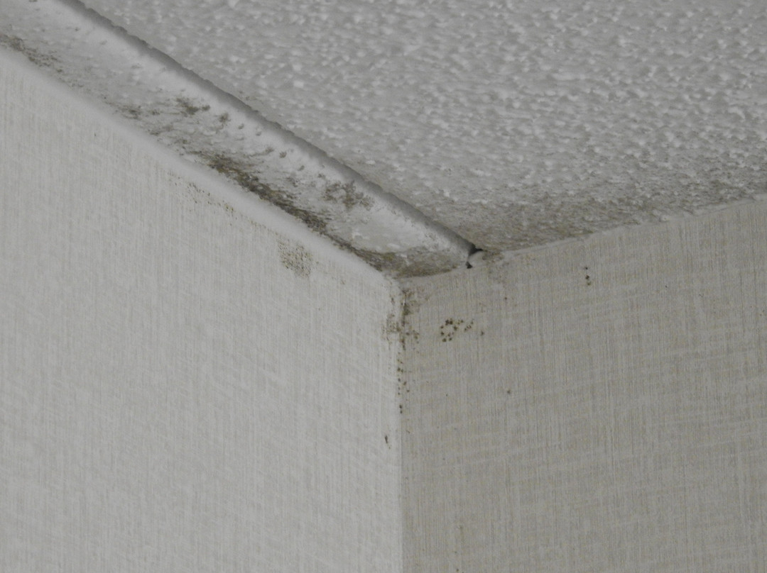 Fairfield by Marriott Inn & Suites Providence Airport Warwick主图