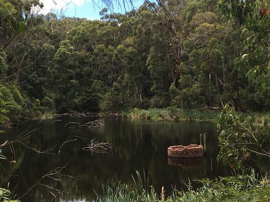 Henry Littledyke Reserve-Nyora必去景点
