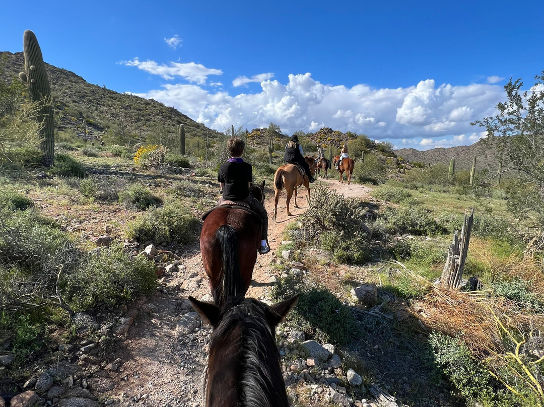 MD Ranch-Queen Creek必去景点
