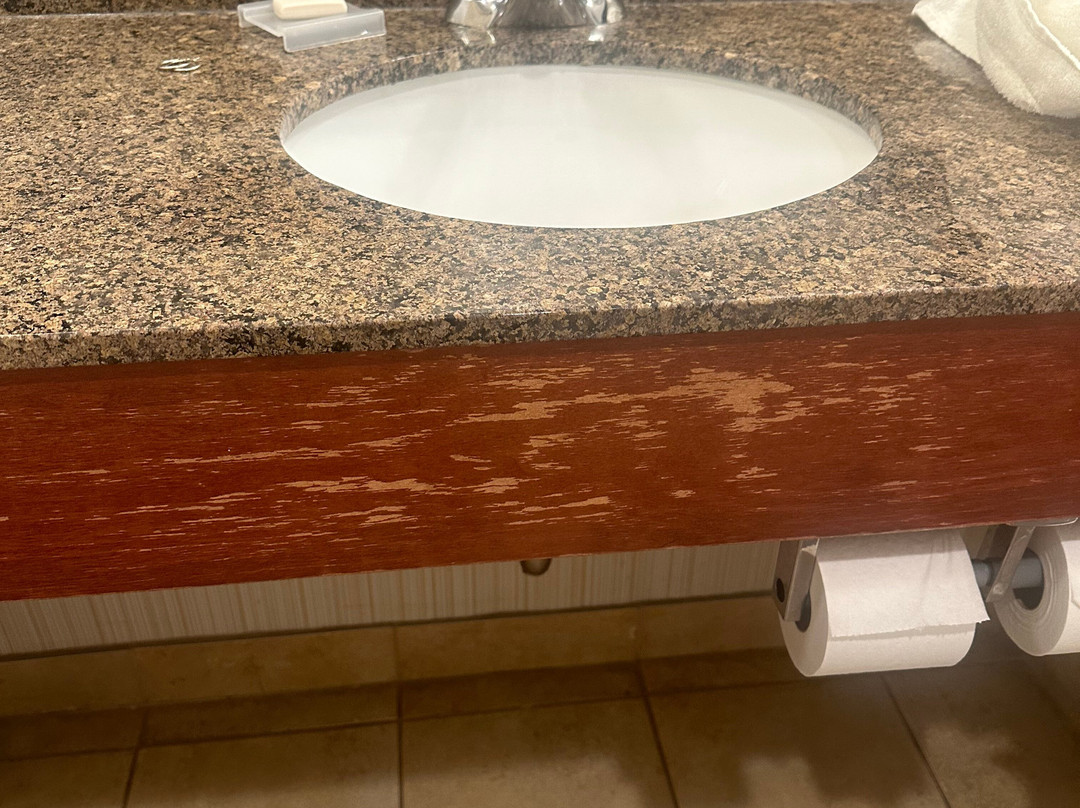 Hilton Garden Inn Baltimore/white Marsh主图