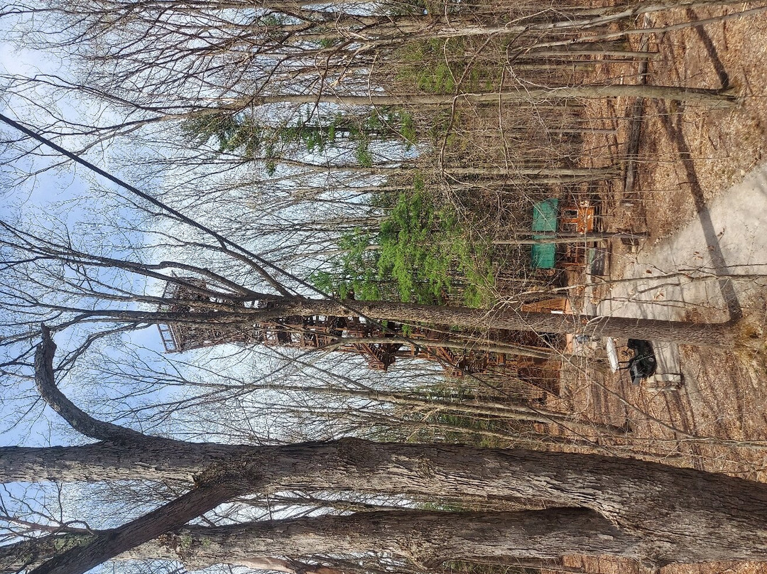 The Holden Arboretum-Kirtland必去景点