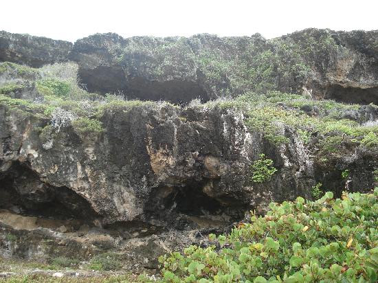 The Caves at Two Foot Bay-巴布达必去景点