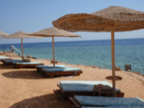 穆罕默德角国家公园-沙姆沙伊赫必去景点