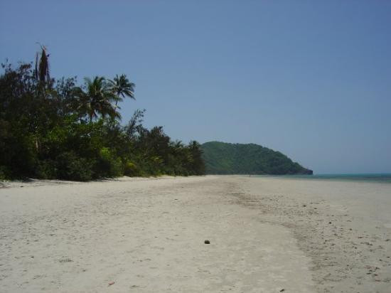 Daintree National Park-Cape Tribulation必去景点